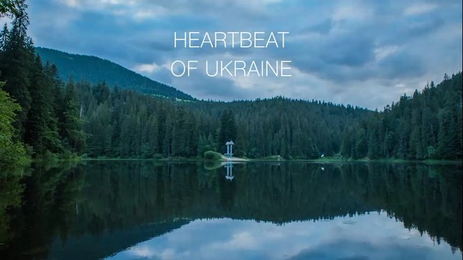 Steko Heartbeat UKRAINE